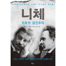 니체: 귀족적 급진주의:니체론/브란데스와 니체가 주고받은 편지들, 까만양, 기오 브란데스 저/김성균 역