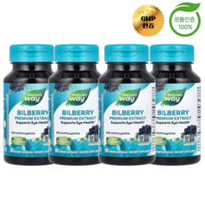 2+2 네이처스 웨이 빌베리 프리미엄 추출물 90정, 4개