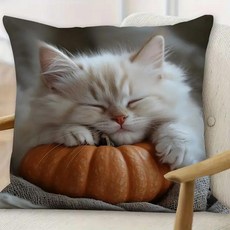 귀여운 잠자는 고양이 프린트 베개 직사각형 소파 거실 장식 쿠션 코어 창문 좌석 등받이, J. SBSA060511