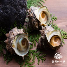 영롱한수산 (무료배송) 해녀가 잡은 활 뿔소라 1kg, 1박스