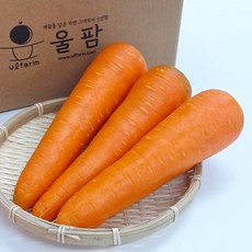 울팜 수입당근 중국산 세척당근, 1개, 중국산 당근 2kg