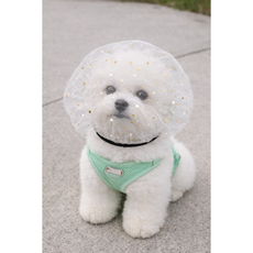 YELON 강아지 페이스커버 얼굴망 이식증 버그가드, 1개, 화이트