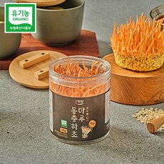 국내산 유기농 현미 동충하초 생초 120g, 1개