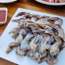 남해 새조개 살 생물 새조개 초코 새조개 회 손질 새조개 샤브 샤브 새조개, 1개, 200g 14~18미