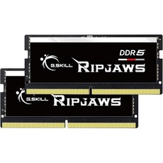 G.SKIL 립조스 DDR5 SO-DIMM 시리즈 RAM 32GB 2x16GB 4800MT/s CL34-34-34-76 1.10V 언버퍼링 비ECC 노트북/노트북 메모리 F5-, 64GB (2x32GB), DDR5-4800 CL40-39-39-76, 검정