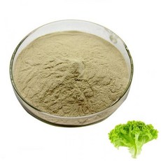 상추추출분말 100g 샘플, 본상품, 1개