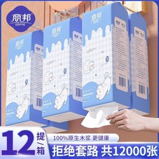 麗邦 懸掛式抽取衛生紙 柔軟舒適, 1個, 驚爆價：12大提/箱【送掛鉤】特便宜