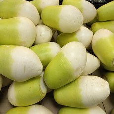 초록초록팜 세척 제주 월동무 국산무 손질 겨울무 바로조리무 제철무 제주무, 1박스, 20kg(16-17개)