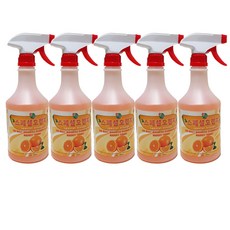 피비원(PB-1) 스페셜오렌지 고품격 기능성세정제 본체650ml, 5개, 650ml