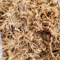 水苔 水草 乾燥水草 甲蟲底材 獨角仙 鍬形蟲 保濕 金金水族, 1個