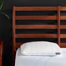 템퍼페딕 배게 탬퍼 클라우드 프로 퀸 사이즈 3종류Tempur Pedic, Low, Queen (Pack of 1), 낮은