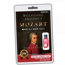 루체트리 USB 모차르트 차량용 노트북 mp3 히트송 단자