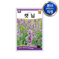 고양이 캣닙 씨앗 고양이풀 개박하 캣닢 고양이마약 허브 키우기, 1개