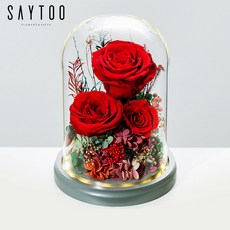 SAYTOO 永生花玻璃罩 裝飾擺件, 莫蘭迪/紅(帶燈), 莫蘭迪/紅