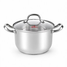 퀸센스 IH 인덕션 스텐 곰솥 냄비 5L, 1개, 실버, 22cm