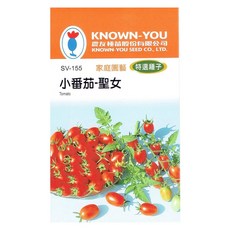 KNOWN-YOU 聖女小番茄種子，家庭園藝特選，易種植高產量, 1個