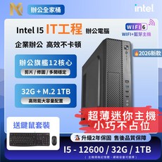 i5 十二核文書電腦 i5-12600H/32G/M.2 1TB SSD/W11/迷你機殼, DDR4 16G,M.2 SSD 256G