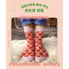 사랑스러운 배색 무늬 손뜨개 양말, 지금이책, 샬럿 스톤 저/이순선 역