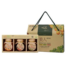 제주이야기 미인화이바 액상차 3종 선물세트, 1개, 오미자200g+한라봉200g+매실200g