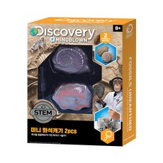 디스커버리 미니 화석캐기 키트 2pcs, 1개