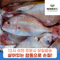 국내산 손질 참돔 산지직송 생선 구이 도미 매운탕, 1개, 손질 참돔 1kg(손질 후 800g내외)