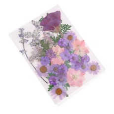 shangren 네일 아트 장식 스크랩북 카드 아트 공예 에폭시 수지 쥬얼리 크래프트 DIY를위한 1 팩 로트 믹스 프레스 꽃 잎, 설명, 설명, A