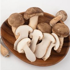 국내산 무농약 문경 백송화버섯 슬라이스 100g, 1세트