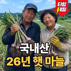 2026년산 산지직송 특상품 고흥 햇마늘, 1세트, 5kg