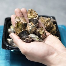 푸드맛봄 국내산 급냉 1급 거북손 500g 거문도 근해, 1개, 상세 설명 참조