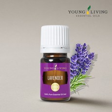 영리빙 천연 라벤더 아로마 에센셜오일 / 구매금액별 선물증정, 1개, 5ml