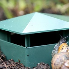 WSMall 달팽이 집 달팽이집소형, 단일, 1개