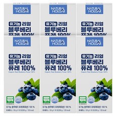 네츄럴올가 유기농 리얼 블루베리 퓨레 100%, 60개, 20g