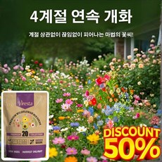 신상품 재배가 쉬운 혼합 꽃 씨앗 사계절 개화 혼합 색상 꽃씨, 20000알, 1봉지