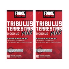 포스팩터 트리블러스 트리뷸러스 맥스 2000mg 120캡슐 2개 Tribulus, 120캡슐 2병, 120정