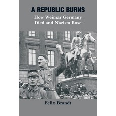 (영문도서)A Republic Burns: How Weimar Germany Died and Nazism Rose Paperback, Vij Books, English, 9789390349081