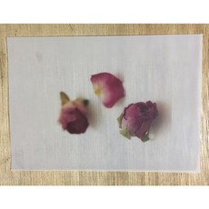 90磅 描圖紙 A4, 1個, 半透明