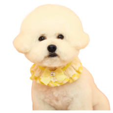 하니펫 반려동물 귀요미스카프 큐티체크프릴, 노랑, 1개