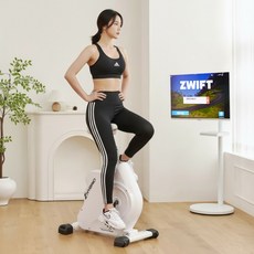 은성헬스빌 지브리드 Zhybrid 실내자전거 사이클 미니 바이크 입식 좌식 하이브리드, 방문설치+테이블, 배송선택:방문설치+테이블, 상세 설명 참조