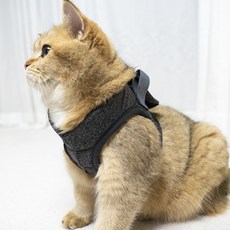 고양이전용하네스 고양이하네스 가슴줄 산책줄 쿠션, 블랙, 1개