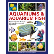 (영문도서) Aquariums & Aquarium Fish: A Practical Guide to Identifying and Keeping Freshwater and Marine... Hardcover, Lorenz Books, English, 9780754835585