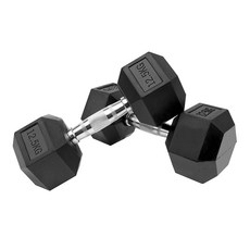 홈짐 홈트 PEV 헥사곤 덤벨 육각 아령, 2개, 12.5kg