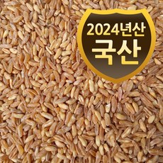 국산 호라산밀 (2024년산) 슈퍼푸드 고대 곡물 통곡물 고대원시곡물, 1개, 500g