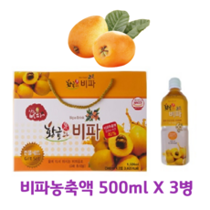 비파원액 황금과 비파 음료 3병 선물세트 500ml 비파과실원액 완도비파