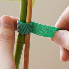 식집사 식물 지지대 원예용 붙이는 타이 고정 밴드 10M, 없음, 없음