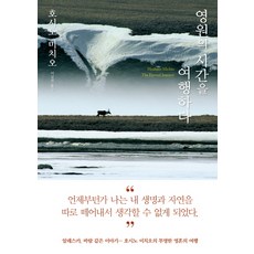 cheongeorammidieo 永恆時光之旅, 星野道夫