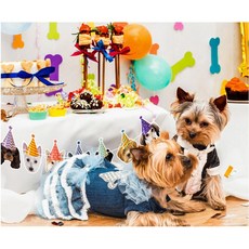 반려견 생일파티 강아지 문구 펫파티 장식가랜드