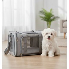 피디노스 강아지 고양이 가방, 1개, 회색