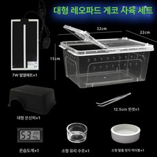 아크릴 사육장 양서류 사육 게코 팩맨 거북이 투명 용품 피그미다람쥐 오픈형 집 대형 세트, 1개, 대형도마뱀사육세트은신포함