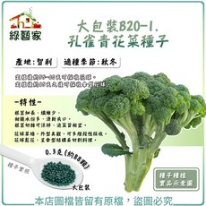 綠藝家 孔雀青花菜種子 大包裝B20-1. 0.3克(約88顆)