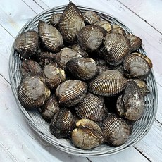 국내산 특대 피조개 피꼬막 3kg, 1개